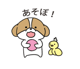 Playful cute Shih Tzu sticker2 sticker #12230260