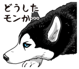 Daily Siberian husky sticker #12233609