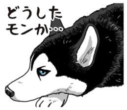 Daily Siberian husky sticker #12233609