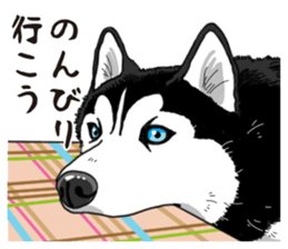 Daily Siberian husky sticker #12233613