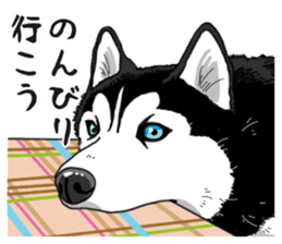 Daily Siberian husky sticker #12233613
