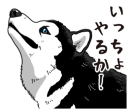 Daily Siberian husky sticker #12233615