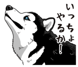 Daily Siberian husky sticker #12233615