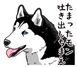 Daily Siberian husky sticker #12233618