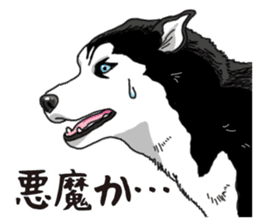 Daily Siberian husky sticker #12233620