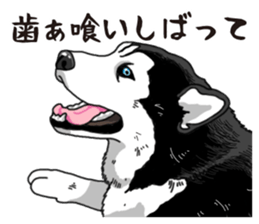 Daily Siberian husky sticker #12233621