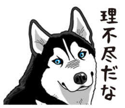 Daily Siberian husky sticker #12233622