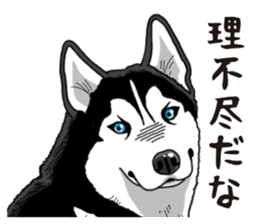 Daily Siberian husky sticker #12233622