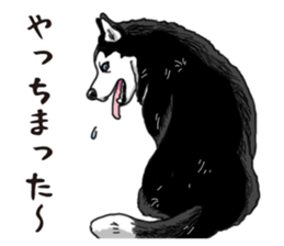 Daily Siberian husky sticker #12233623