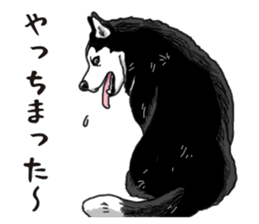 Daily Siberian husky sticker #12233623
