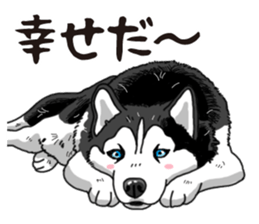 Daily Siberian husky sticker #12233624