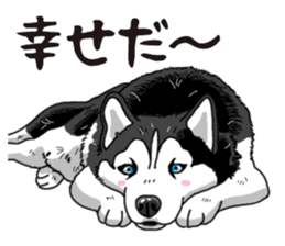 Daily Siberian husky sticker #12233624