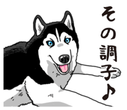 Daily Siberian husky sticker #12233625