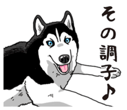 Daily Siberian husky sticker #12233625