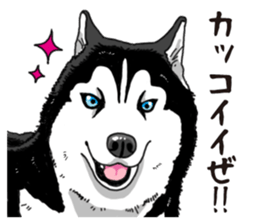 Daily Siberian husky sticker #12233626