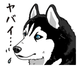 Daily Siberian husky sticker #12233631