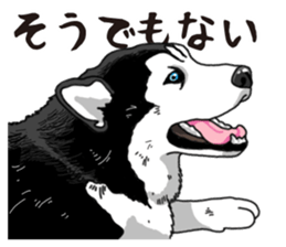 Daily Siberian husky sticker #12233635
