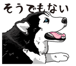 Daily Siberian husky sticker #12233635