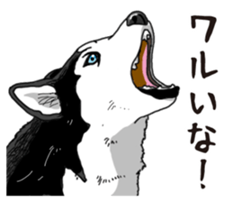 Daily Siberian husky sticker #12233637