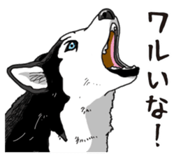 Daily Siberian husky sticker #12233637