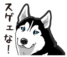 Daily Siberian husky sticker #12233638