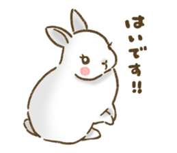 Hey! Usakichi sticker #12235037