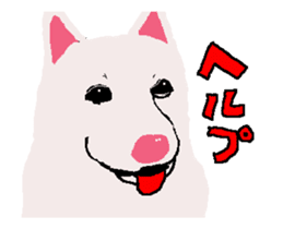 Shiba inu MOMO chan the third as well! sticker #12237508