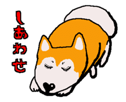 Shiba inu MOMO chan the third as well! sticker #12237514