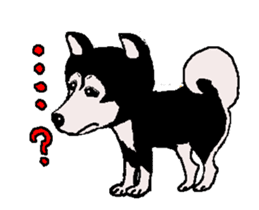 Shiba inu MOMO chan the third as well! sticker #12237515