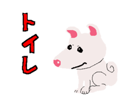 Shiba inu MOMO chan the third as well! sticker #12237516