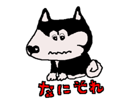 Shiba inu MOMO chan the third as well! sticker #12237519