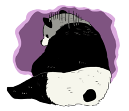 a child panda sticker #12238662