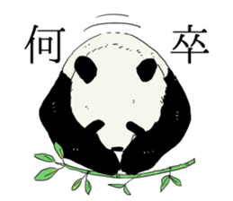 a child panda sticker #12238665