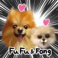 Fu Fu & Fong (Pomeranian Mother & Son)