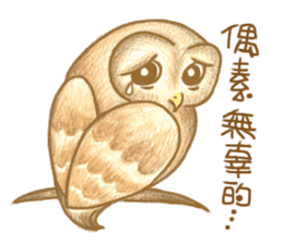 so so bird - cute owl sticker #12243102