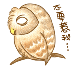 so so bird - cute owl sticker #12243114