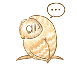 so so bird - cute owl sticker #12243116