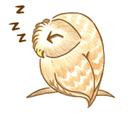 so so bird - cute owl sticker #12243117