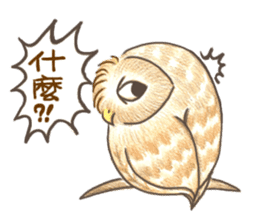so so bird - cute owl sticker #12243118
