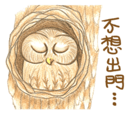 so so bird - cute owl sticker #12243122