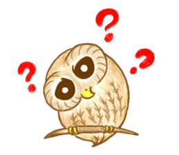 so so bird - cute owl sticker #12243131