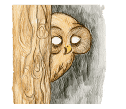so so bird - cute owl sticker #12243139