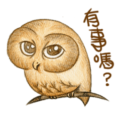 so so bird - cute owl sticker #12243140