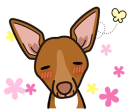 iinu - Pharaoh Hound sticker #12243559