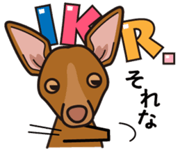 iinu - Pharaoh Hound sticker #12243560