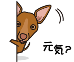 iinu - Pharaoh Hound sticker #12243568