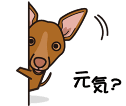 iinu - Pharaoh Hound sticker #12243568