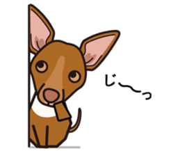 iinu - Pharaoh Hound sticker #12243569