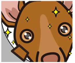 iinu - Pharaoh Hound sticker #12243575