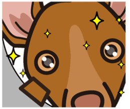 iinu - Pharaoh Hound sticker #12243575